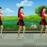 广场舞花香情歌,舞动健康，传递情感