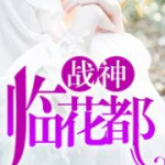 林北苏婉小说全文免费阅读,爱恨情仇，命运交织